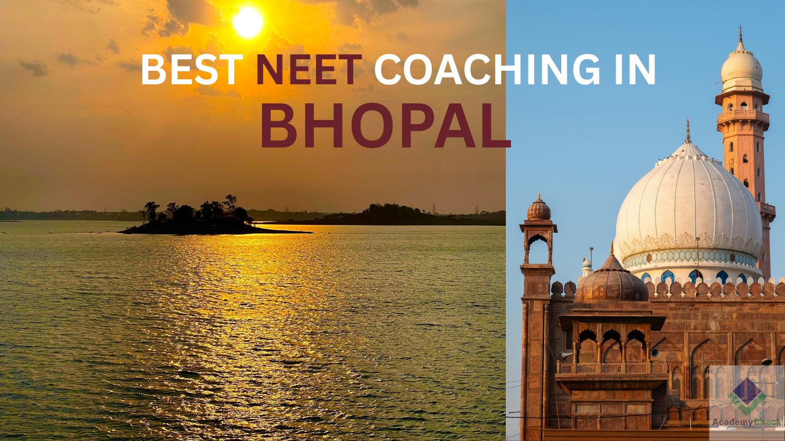 Best 5 NEET coaching in Bhopal
